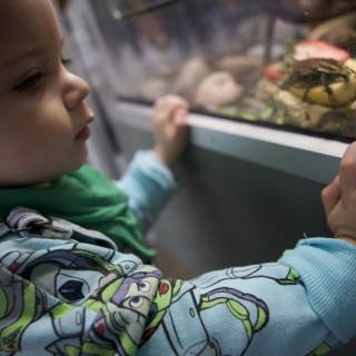 A Curious Encounter at the California Academy of Sciences