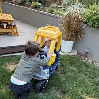 Backyard Adventures