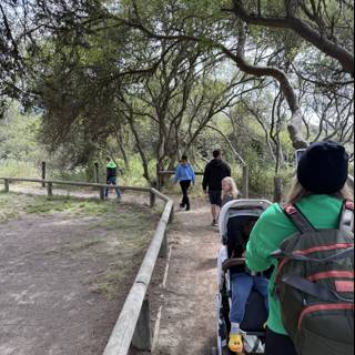 Strolling Through Nature's Embrace