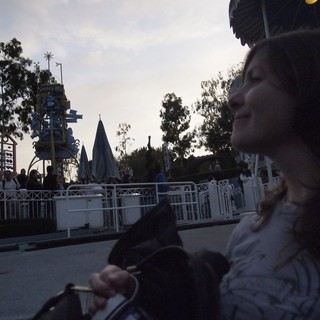 disneyland-queue-railings