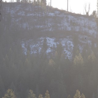 Misty Winter Dawn Over Snow-Dusted Forest Slopes