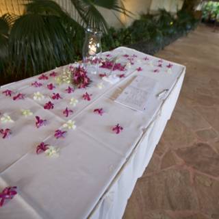 A Serene Sight: Pink Orchids on a White Tablecloth