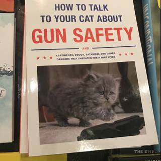 Gun Safety Publication Displayed in Los Angeles Shop