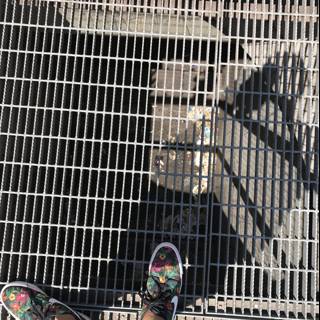 Sneakers and Drains