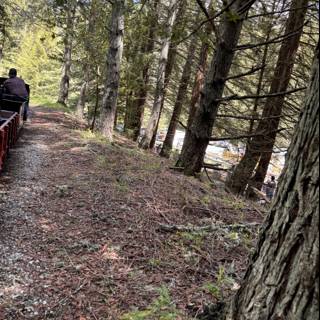 Journey Through the Tilden Trails