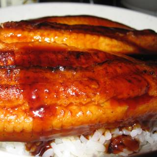 Teriyaki Pork and Rice