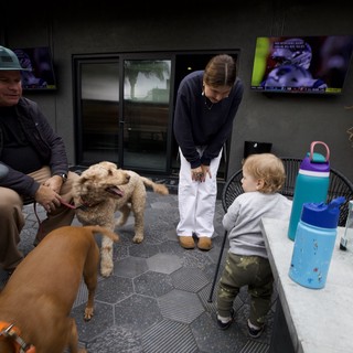 Family Moment with Dogs in Modern Patio Setting