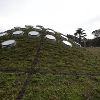 A Grass Roof with Circular Windows
