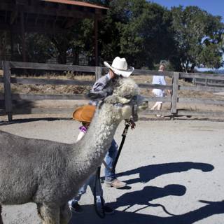 Llama Stroll at Carmel Valley Ranch