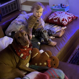 Cozy Morning Playtime with Stuffed Animals at Home