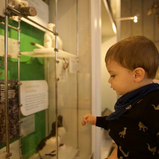 Curiosity Unleashed at the Museum