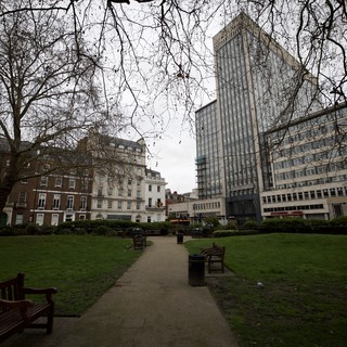 Bare Winter Trees Frame London Square on Overcast Day