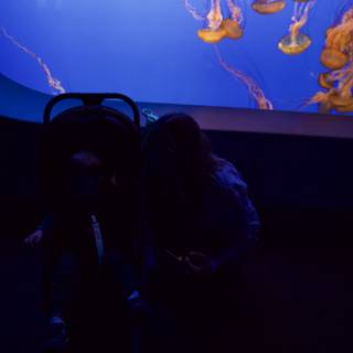 Magical Encounter at Monterey Bay Aquarium