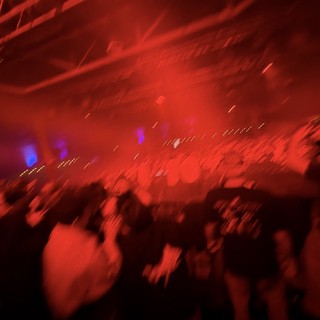 Immersed in Red Light: Concert Crowd Energy