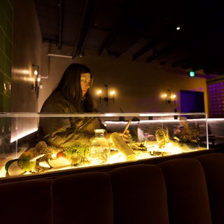 Woman Observing Illuminated Natural History Display Case