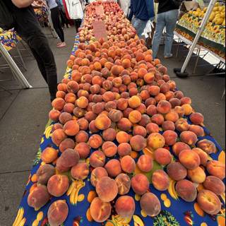 Bountiful Peaches at the Ferry Building Market