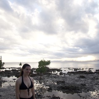 distant-mountainous-island-across-water