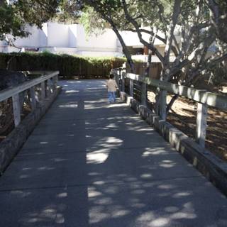 Journey Through Shadows