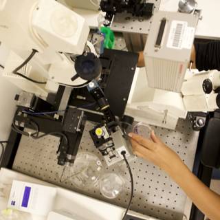 Microscopy in the Lab