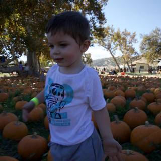 Pumpkin Patch Adventures