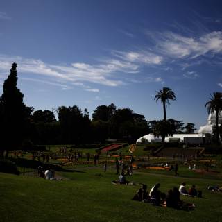 Summer Afternoon at Golden Gate Park