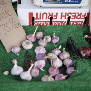 Fresh Garlic and Onions at the Blogdowntown Picnic