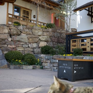 Alpine Spa Entrance at Mountain Resort Courtyard