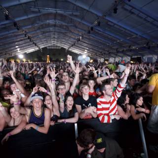 The Electric Energy of Cochella’s Crowd
