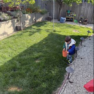 Backyard Explorations
