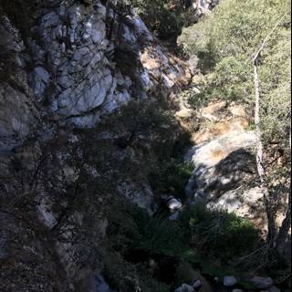 Wilderness Stream in Angeles National Forest