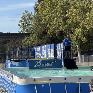 Dock Diving Delight