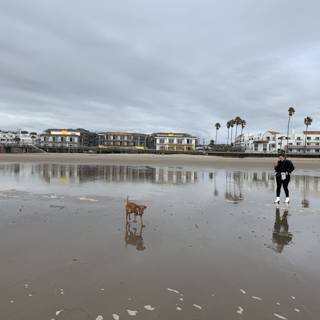 Coastal Stroll with a Furry Companion
