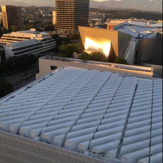 The White Roof of Los Angeles