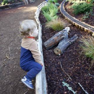 Little Explorer of Thistlewyck