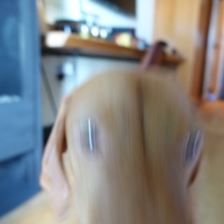 Blurred Motion in Modern Kitchen Setting