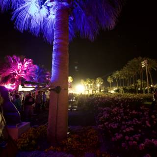 Illuminated Palm Tree at Coachella