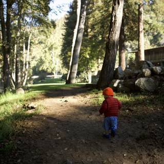 Adventure Awaits: A Young Explorer in Big Sur