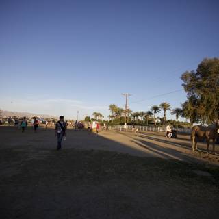 People and Horses in Coachella Field