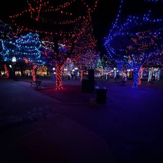 Illuminating Santa Fe Plaza