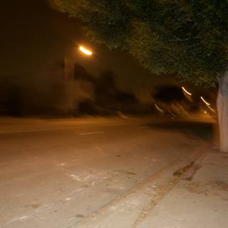 Blurred Streetscape with Tree at Night