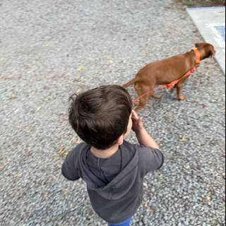 Stroll with a Buddy