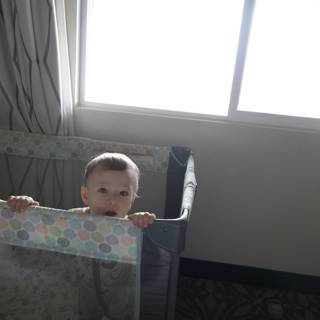 Morning Curiosity