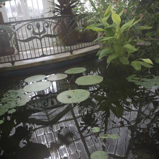 Pond Panorama: The Conservatory of Flowers Reflected
