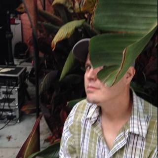 A Man in a Baseball Cap Examines a Banana Plant