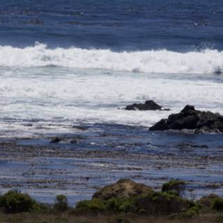 Waves of Cayucos