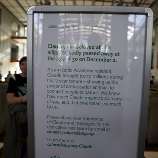 Memorial Tribute Sign for Claude the Alligator