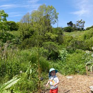 Little Explorer in Nature's Playground