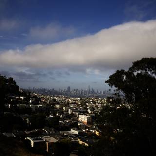 Hillside Haven: A San Francisco Cityscape
