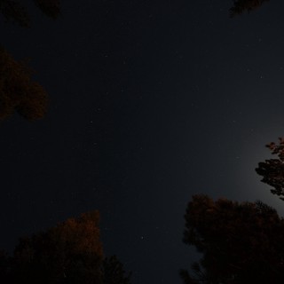 Moonlit Starry Sky Over Lassen Volcanic Forest