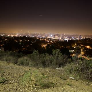 Illuminated Metropolis from Hillside